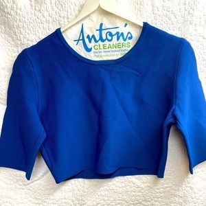 Blue BCBG spandex blouse